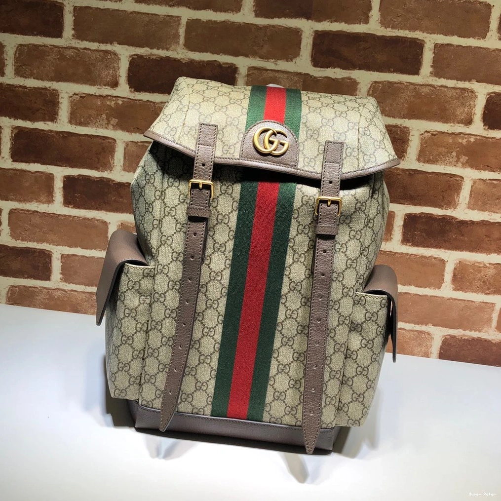 Hyper Peter GG medium Gucci backpack Ophidia 0715